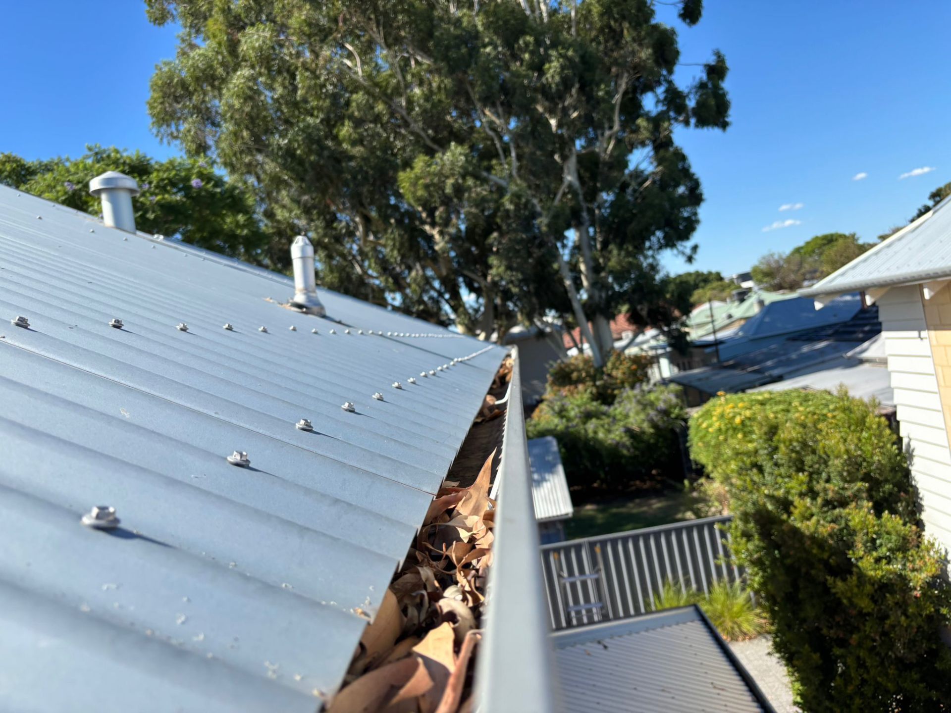 Clogged gutters full of leaves before gutter cleaning in Perth