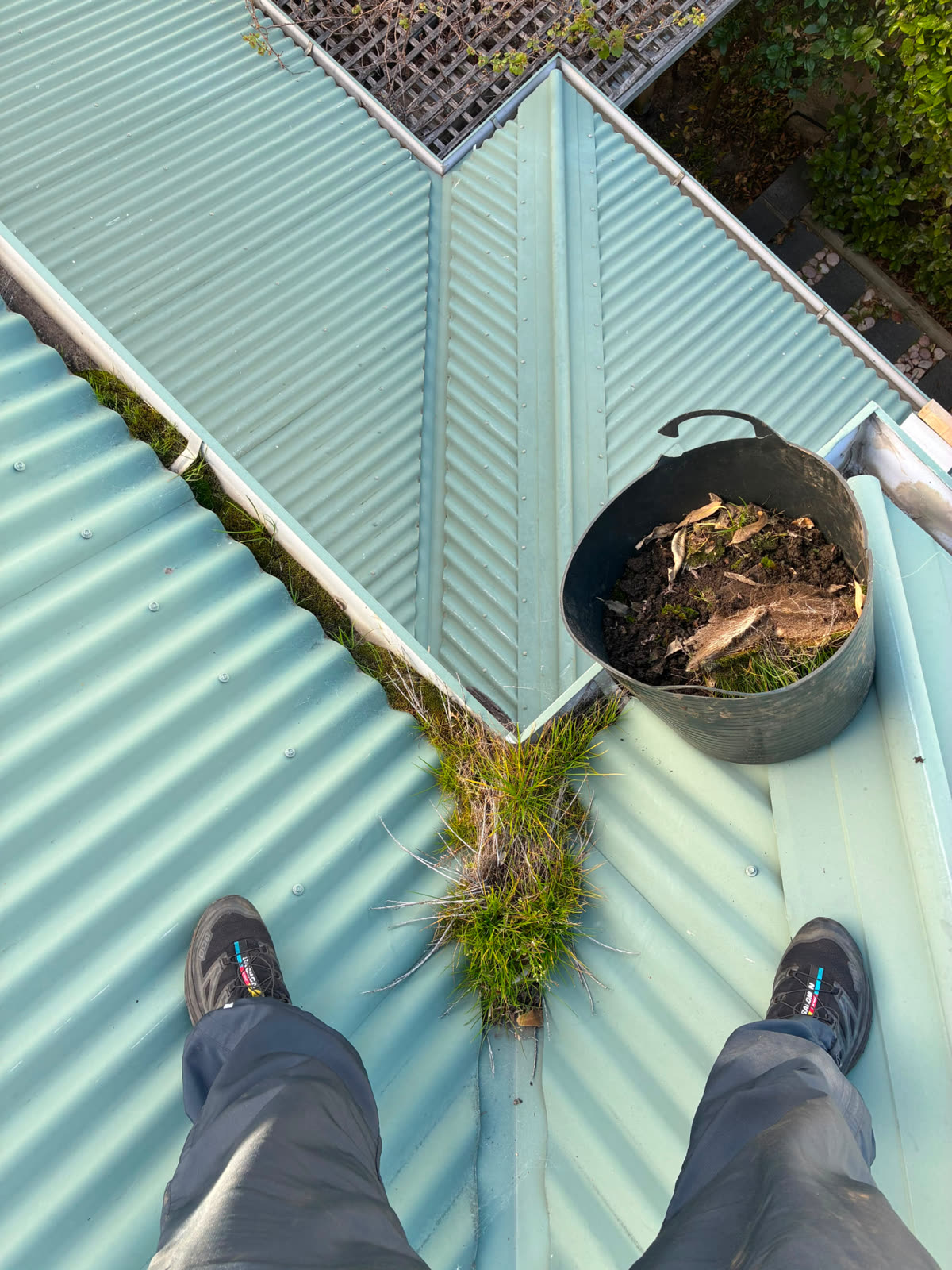 Grass growing out of a roof valley and gutter before cleaning in Perth
