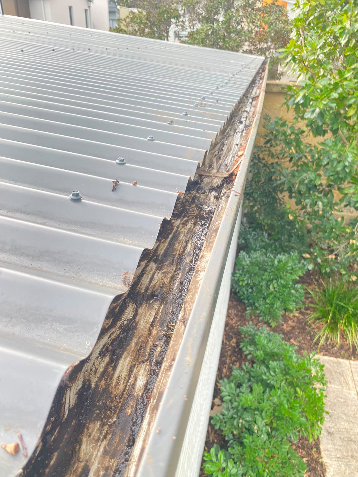 Gutter flushed clear of leaves and debris after gutter cleaning in Perth